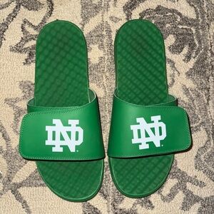 Notre Dame Slides